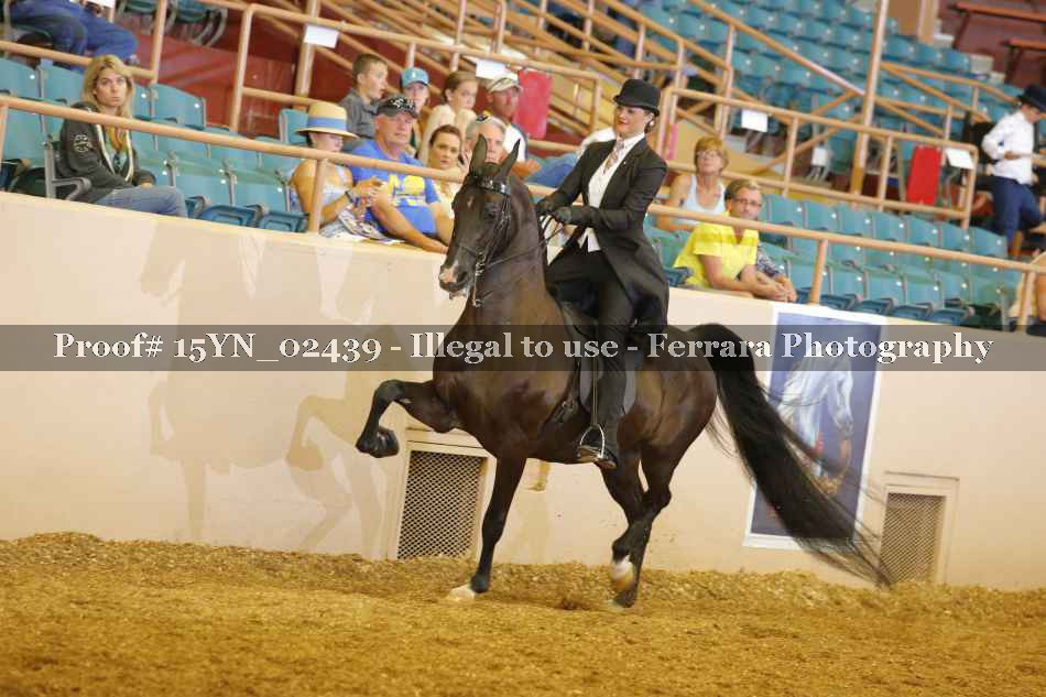 Proof 15YN_02439