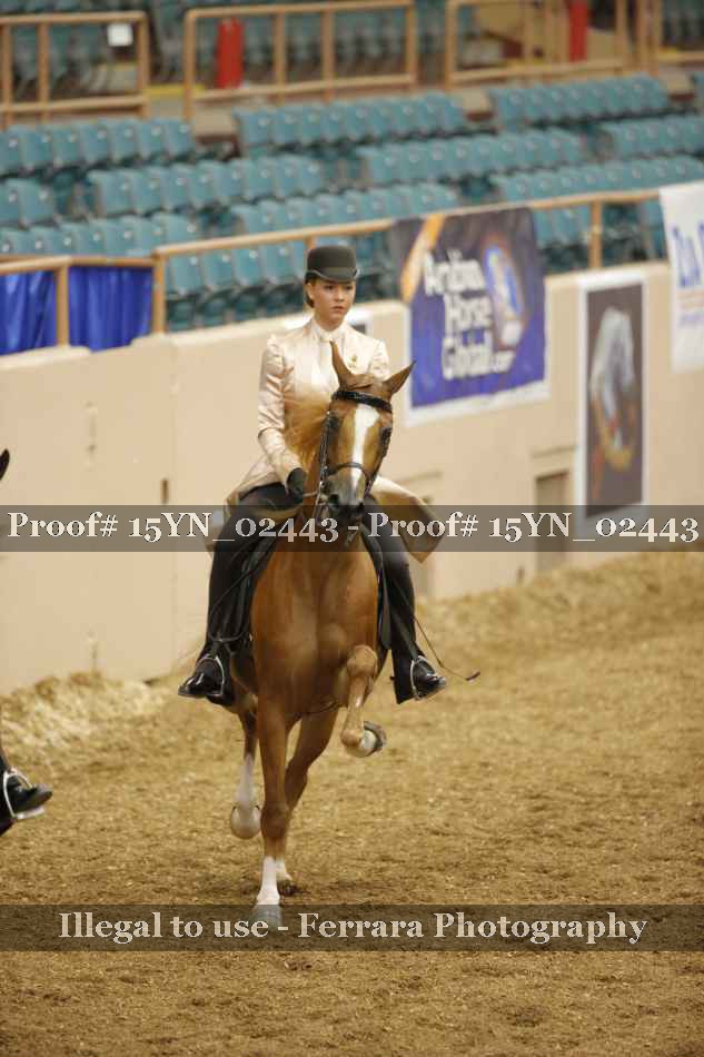 Proof 15YN_02443
