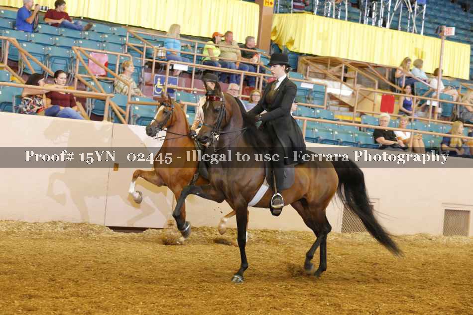 Proof 15YN_02445