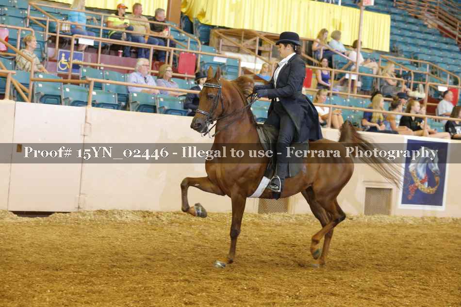 Proof 15YN_02446