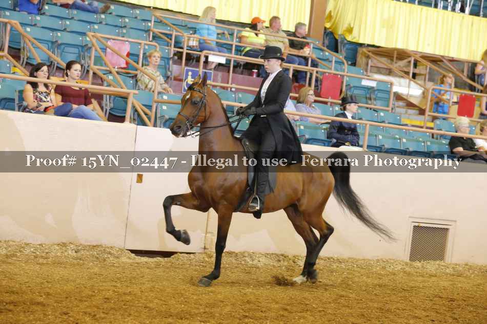 Proof 15YN_02447