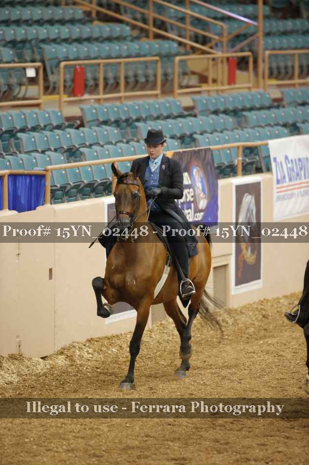 Proof 15YN_02448
