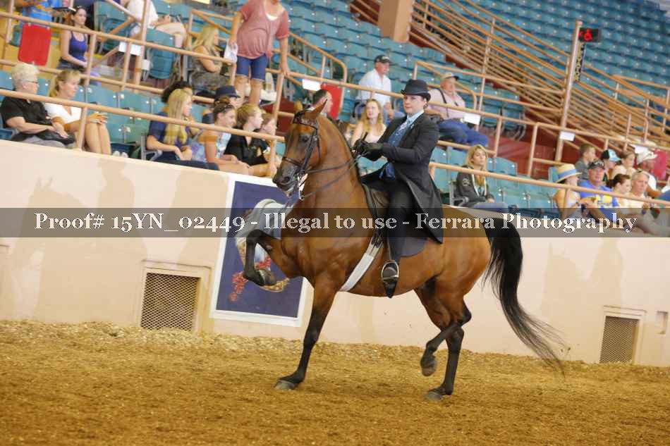 Proof 15YN_02449