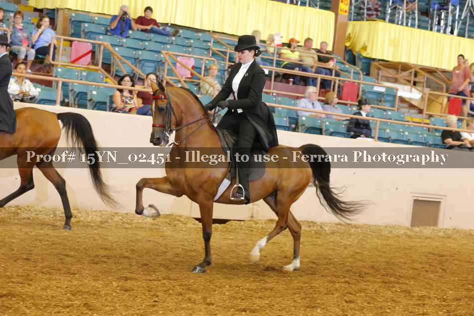 Proof 15YN_02451