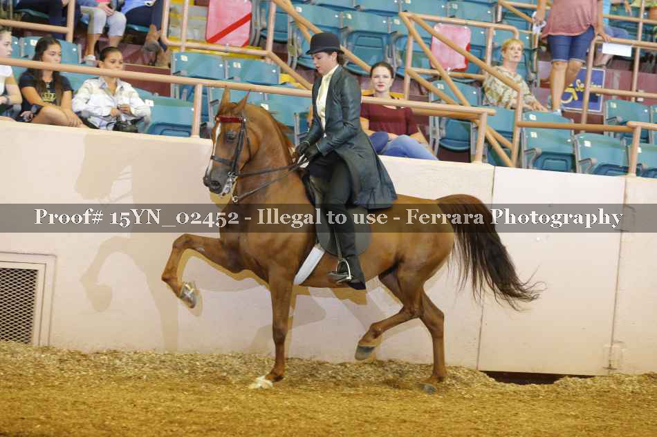 Proof 15YN_02452