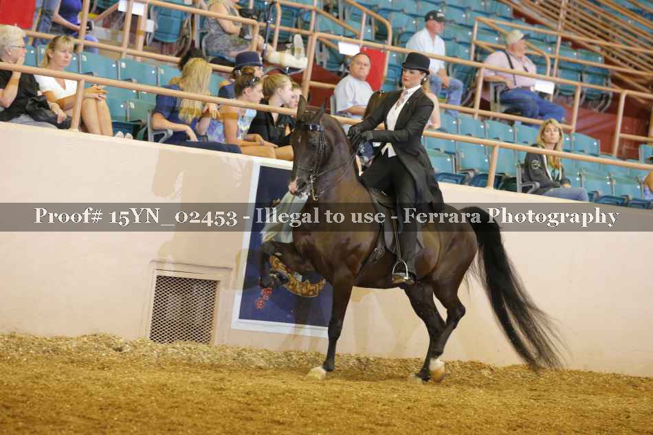 Proof 15YN_02453