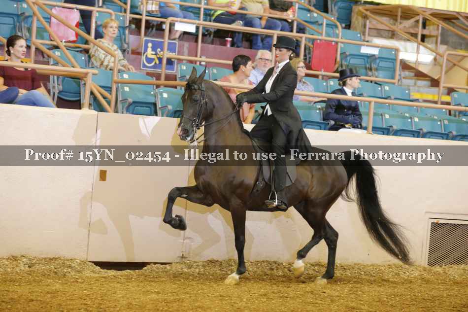Proof 15YN_02454