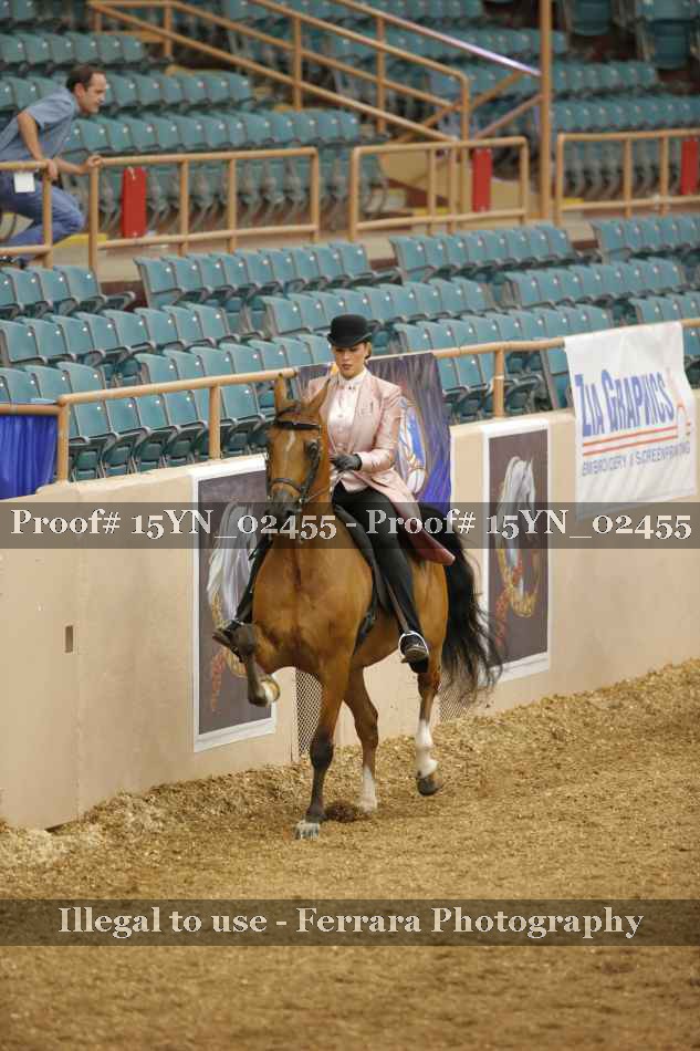 Proof 15YN_02455