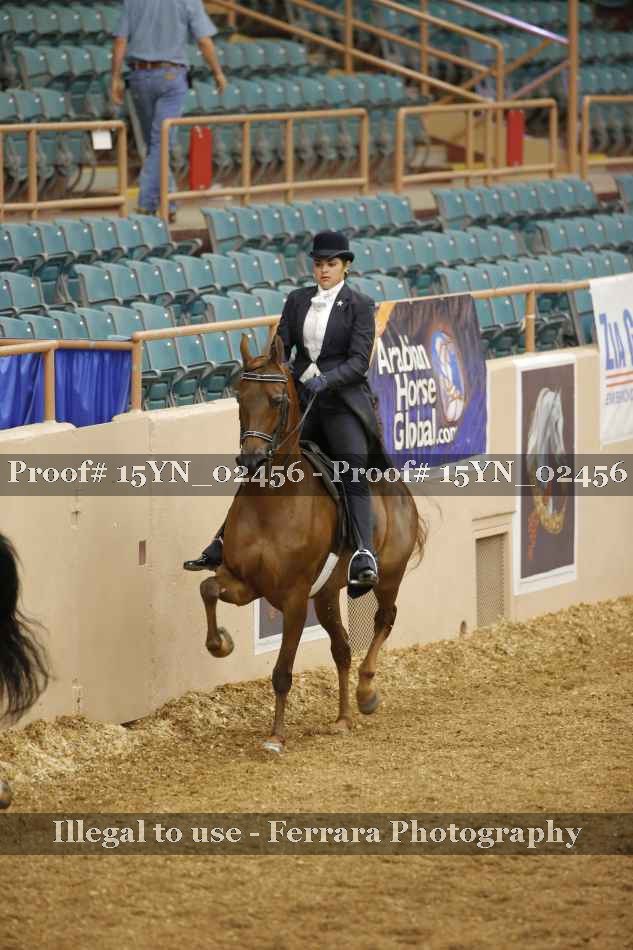Proof 15YN_02456