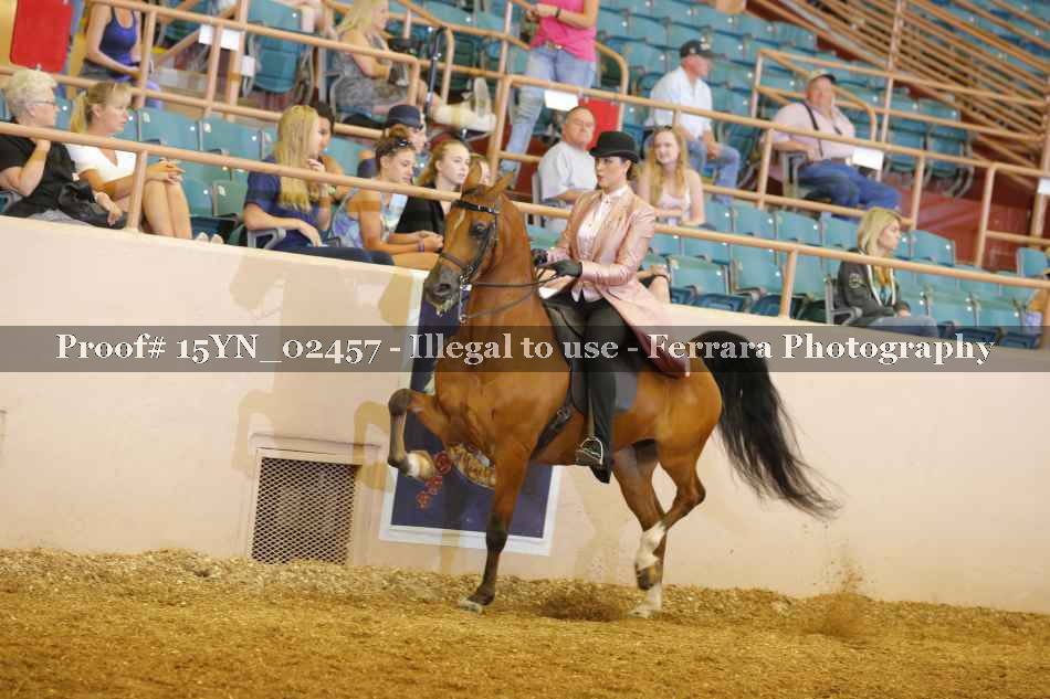Proof 15YN_02457