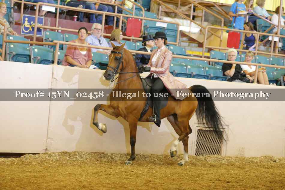Proof 15YN_02458