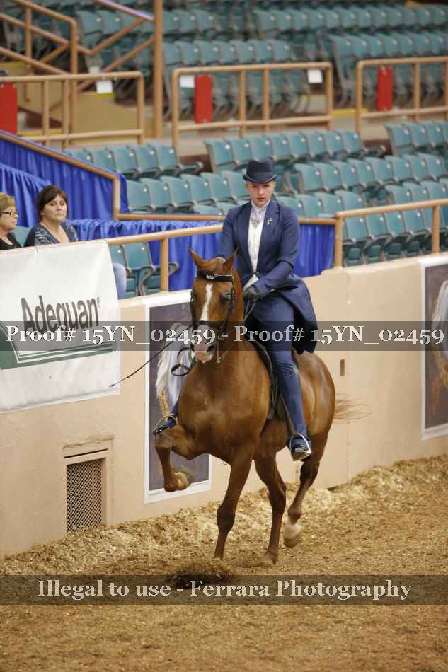 Proof 15YN_02459