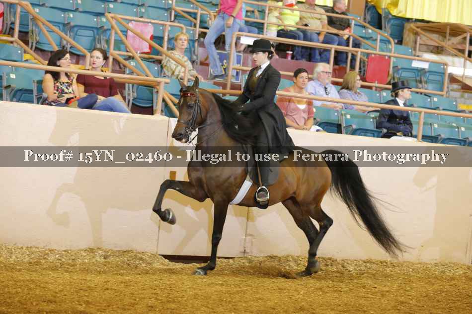 Proof 15YN_02460