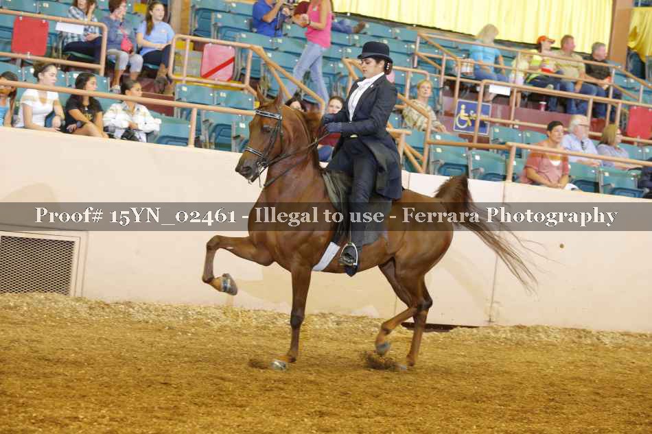 Proof 15YN_02461