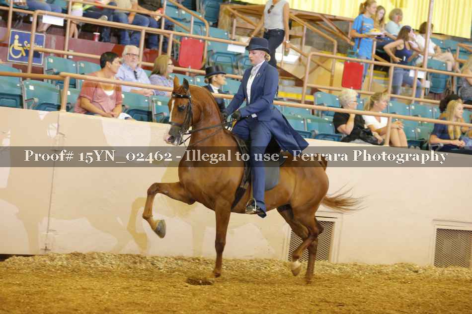 Proof 15YN_02462