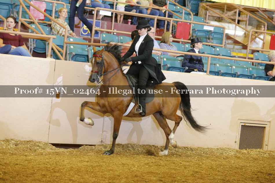 Proof 15YN_02464