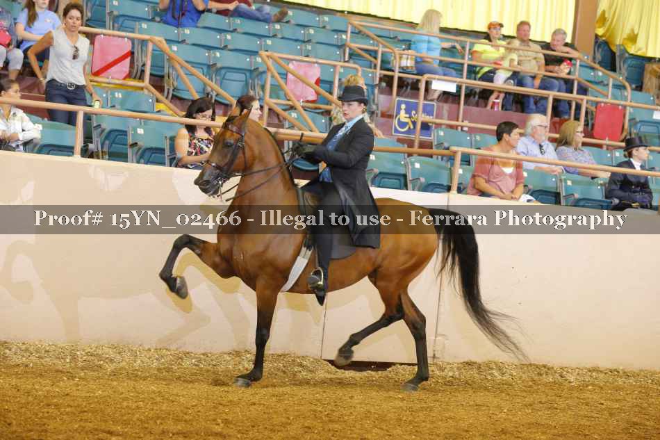 Proof 15YN_02466
