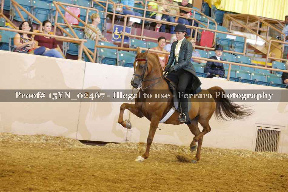 Proof 15YN_02467
