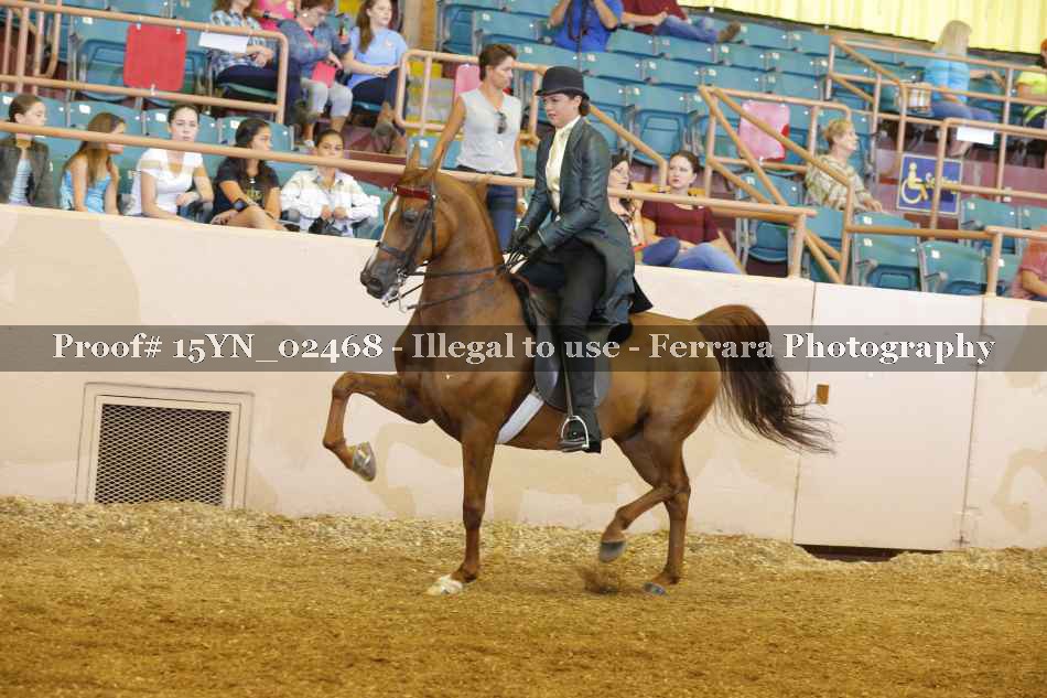 Proof 15YN_02468