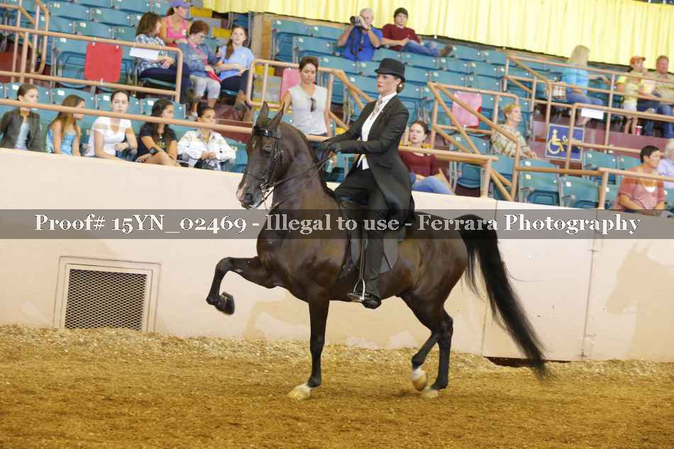 Proof 15YN_02469
