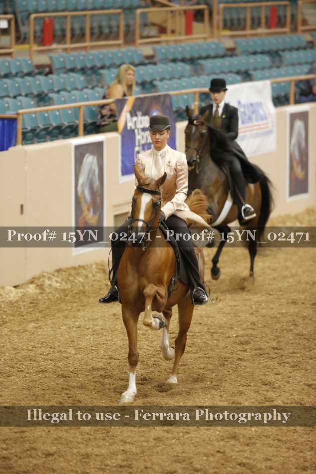 Proof 15YN_02471