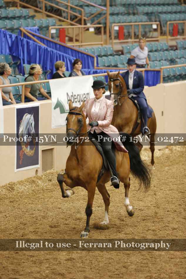 Proof 15YN_02472