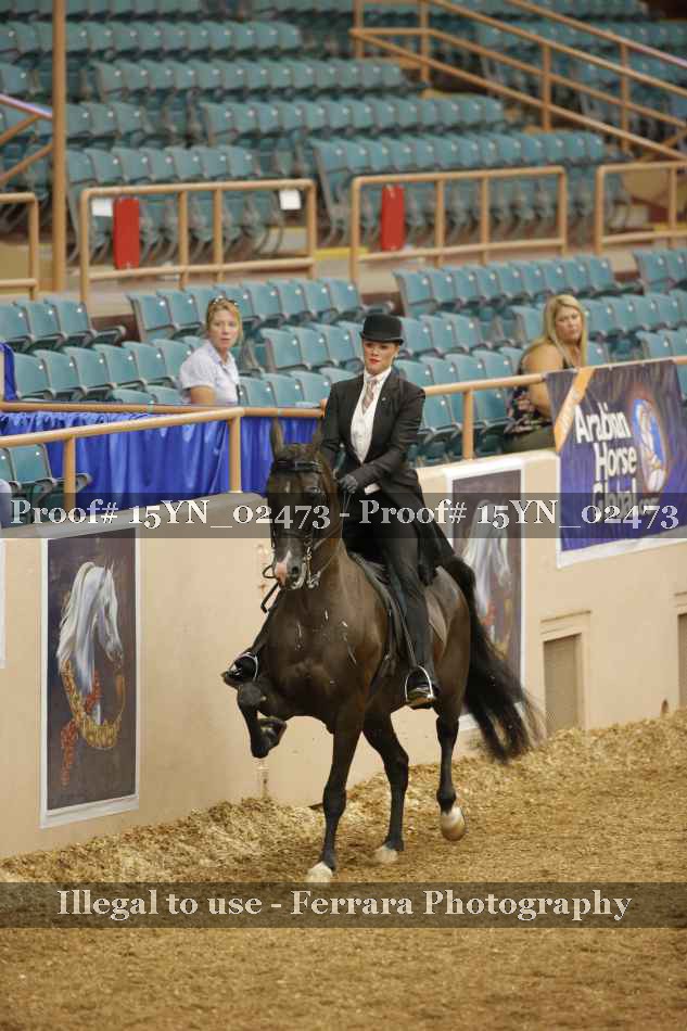 Proof 15YN_02473