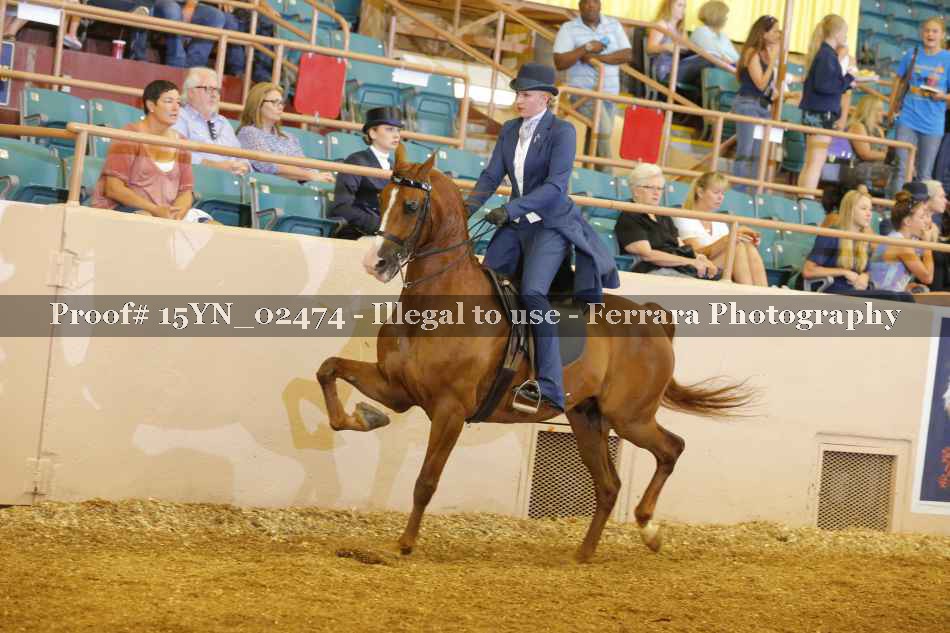 Proof 15YN_02474