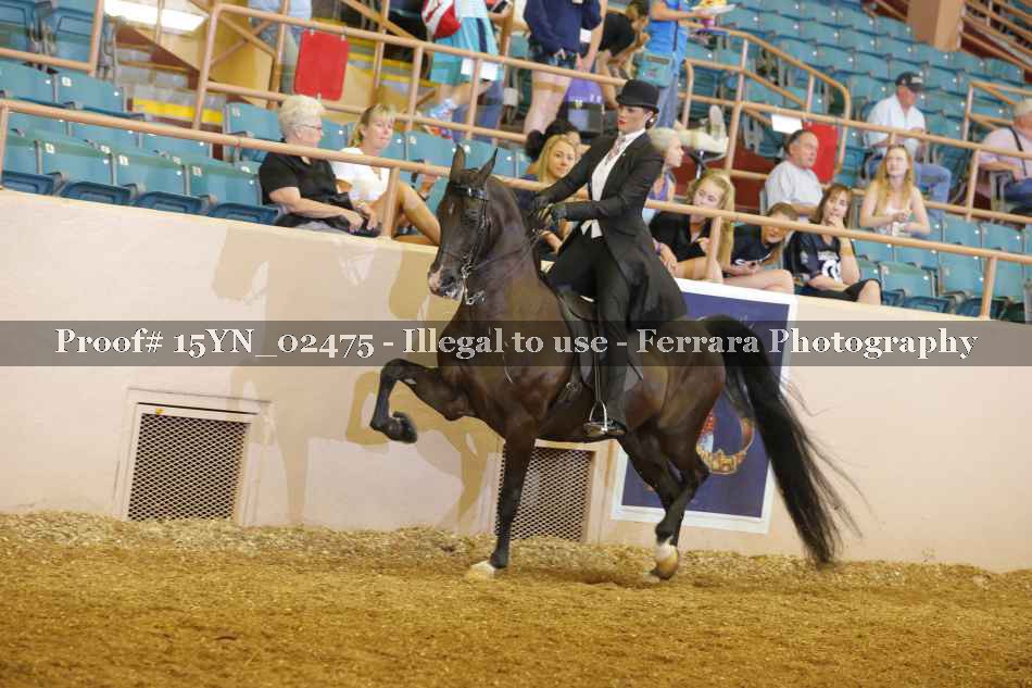 Proof 15YN_02475