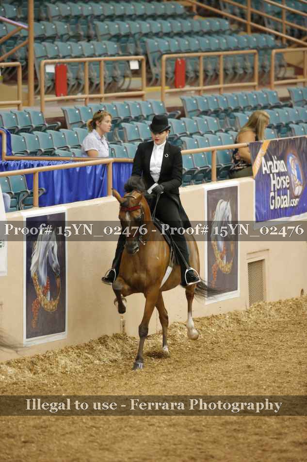 Proof 15YN_02476