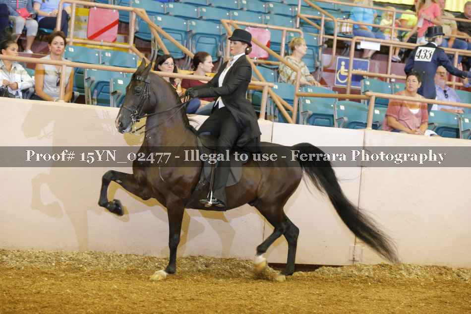 Proof 15YN_02477