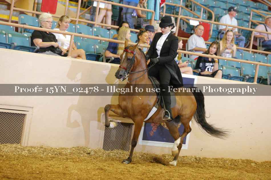 Proof 15YN_02478