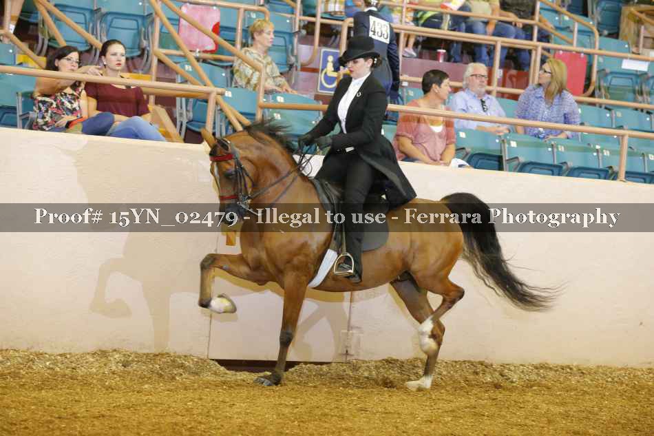Proof 15YN_02479