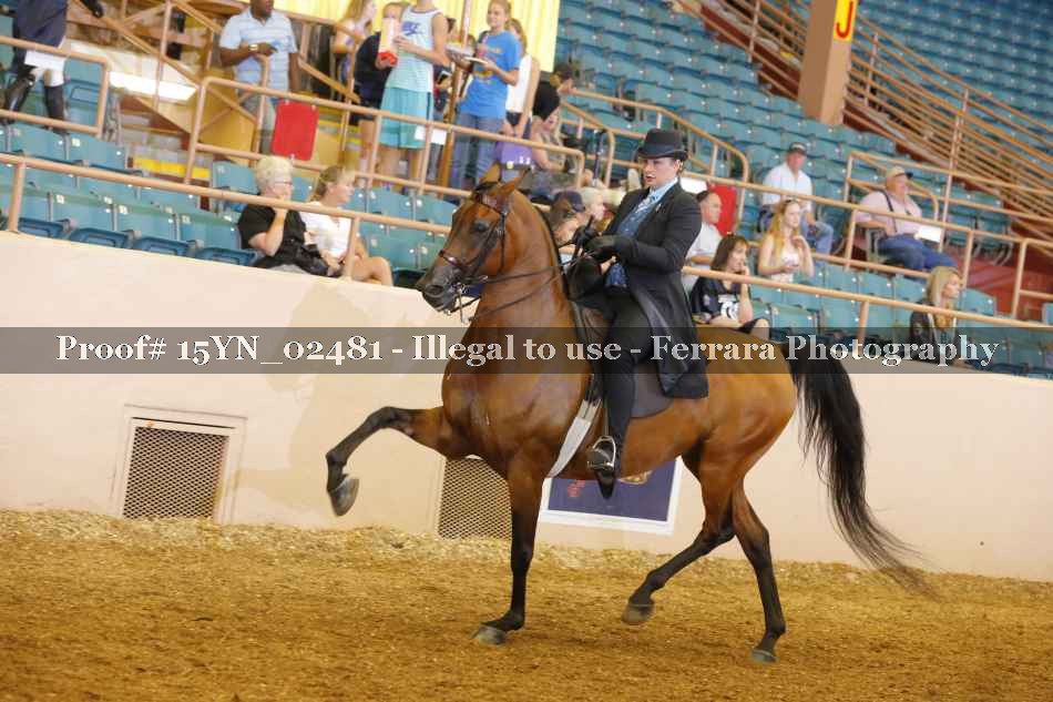 Proof 15YN_02481