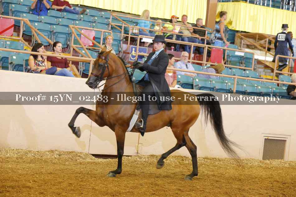 Proof 15YN_02483