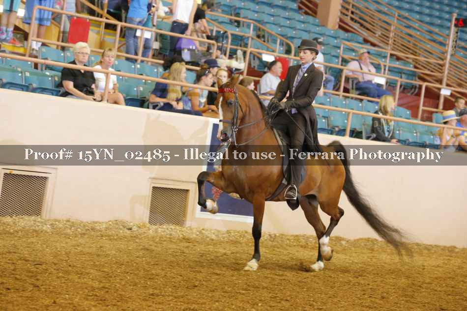 Proof 15YN_02485
