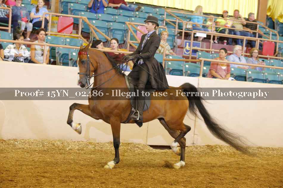 Proof 15YN_02486