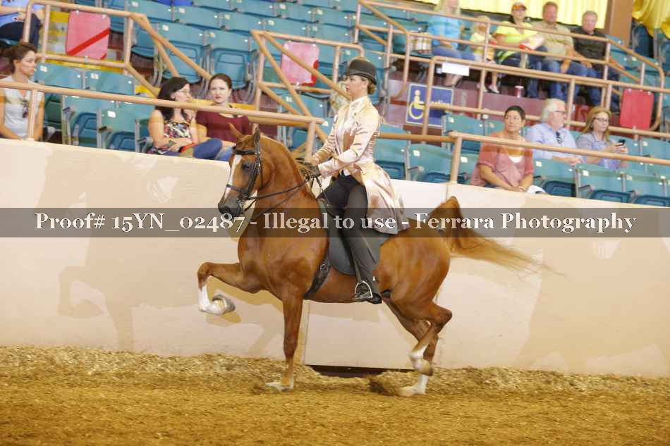 Proof 15YN_02487
