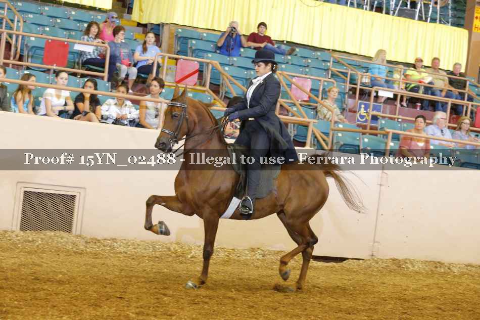 Proof 15YN_02488