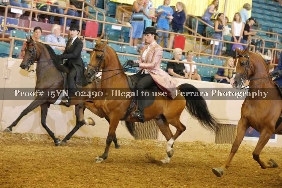 Proof 15YN_02490