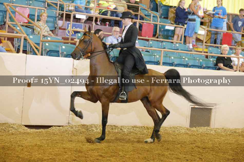 Proof 15YN_02494