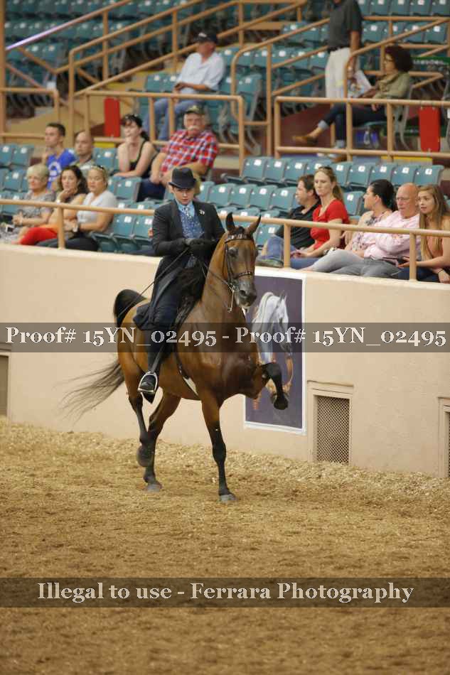 Proof 15YN_02495
