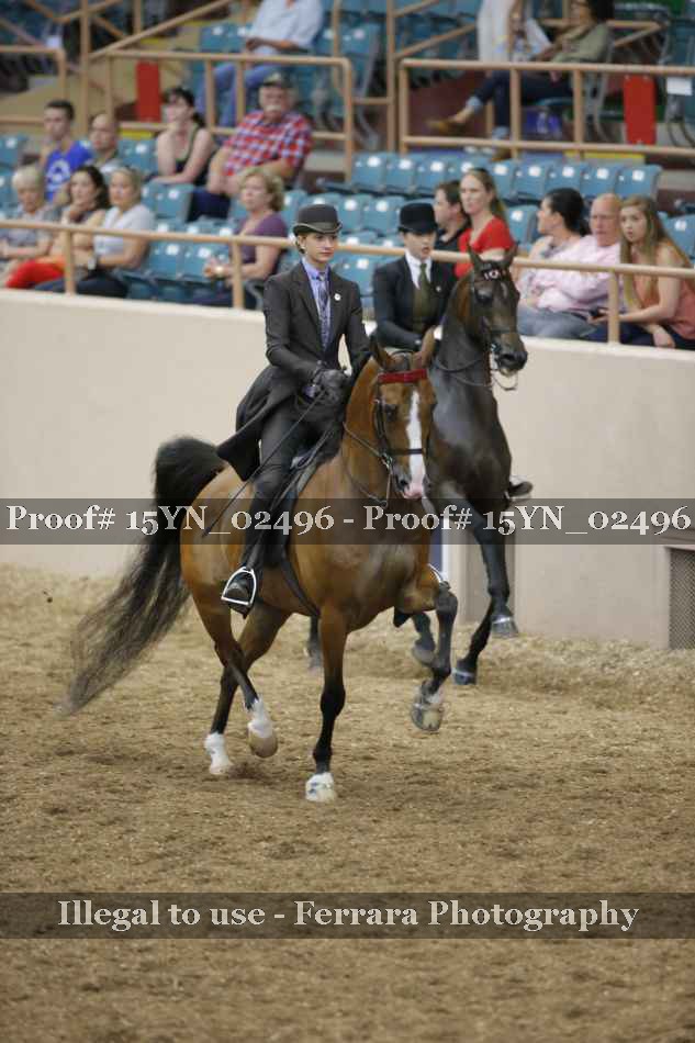 Proof 15YN_02496