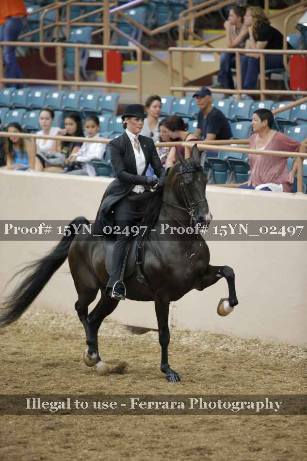 Proof 15YN_02497