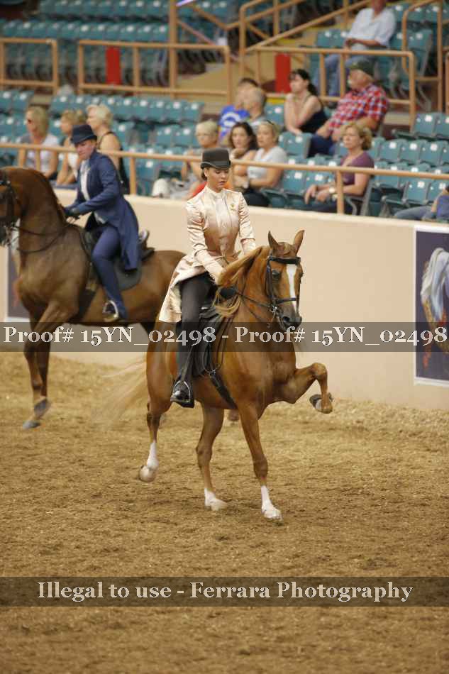 Proof 15YN_02498