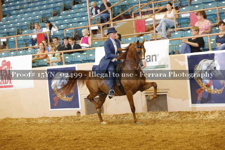 Proof 15YN_02499