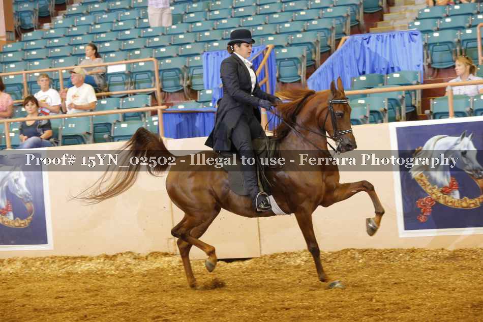 Proof 15YN_02502