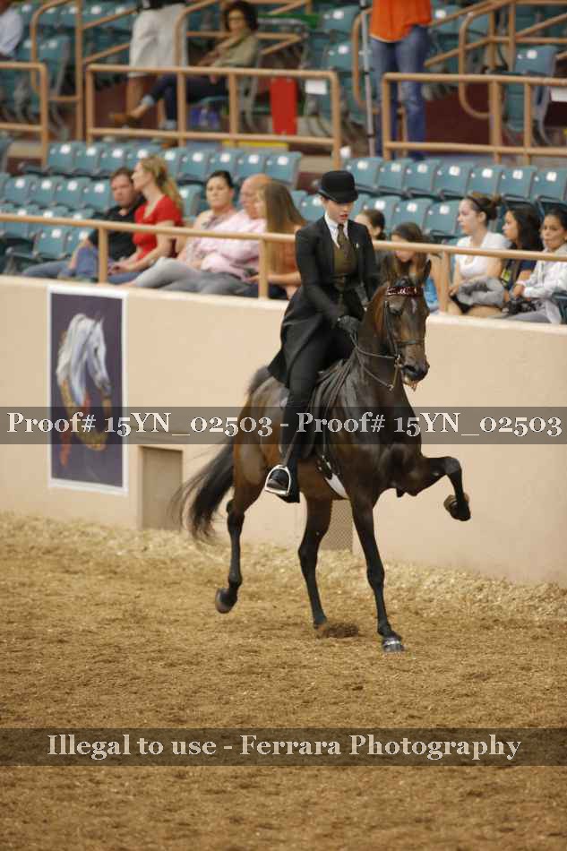 Proof 15YN_02503
