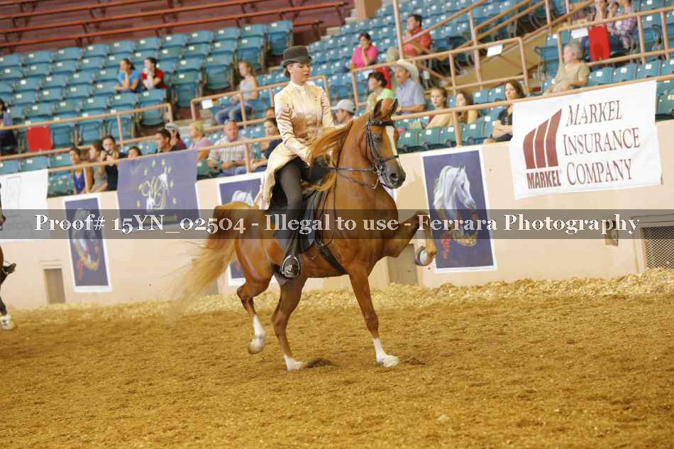Proof 15YN_02504