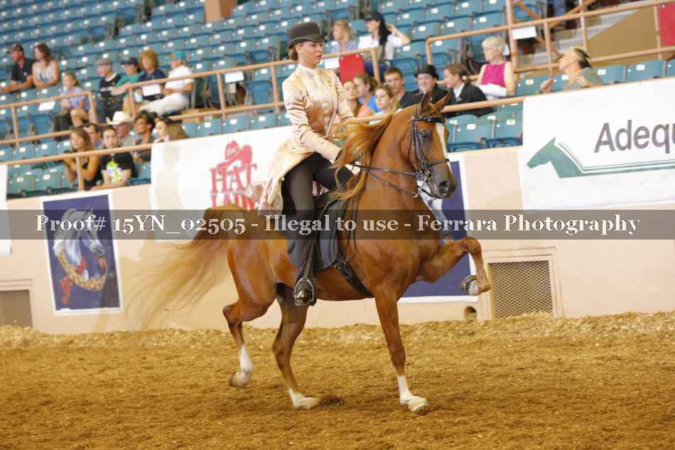 Proof 15YN_02505
